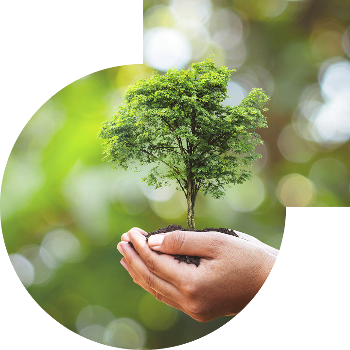 关怀人类、文化、环境与社会